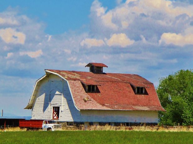 Barn